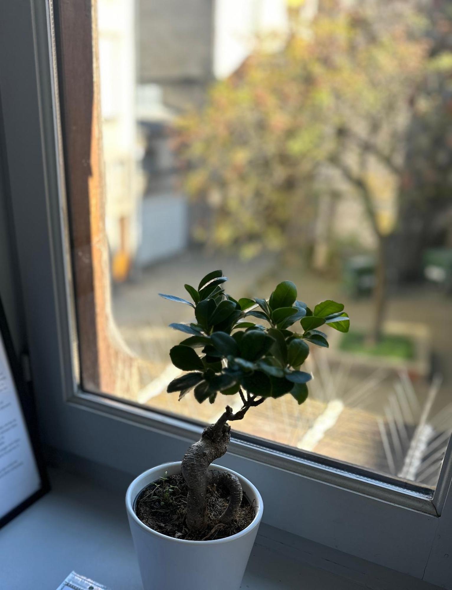 Limoges Centre Appartement De Charme Екстериор снимка